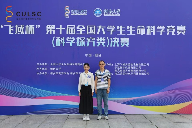 图片6